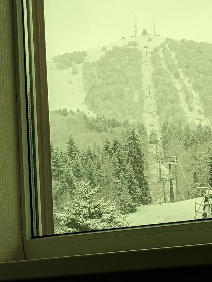 Chalet Kokhta باكورياني المظهر الخارجي الصورة
