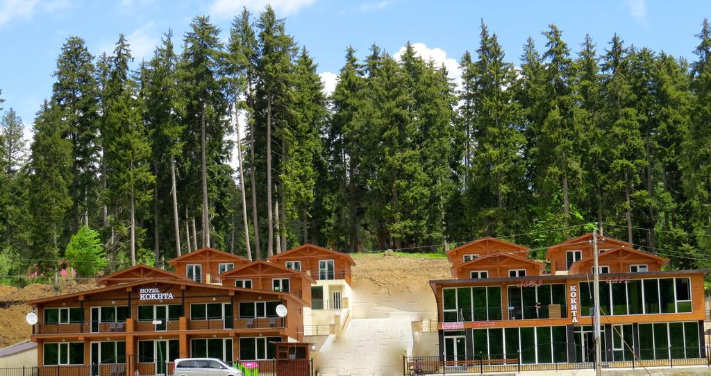 Chalet Kokhta باكورياني المظهر الخارجي الصورة