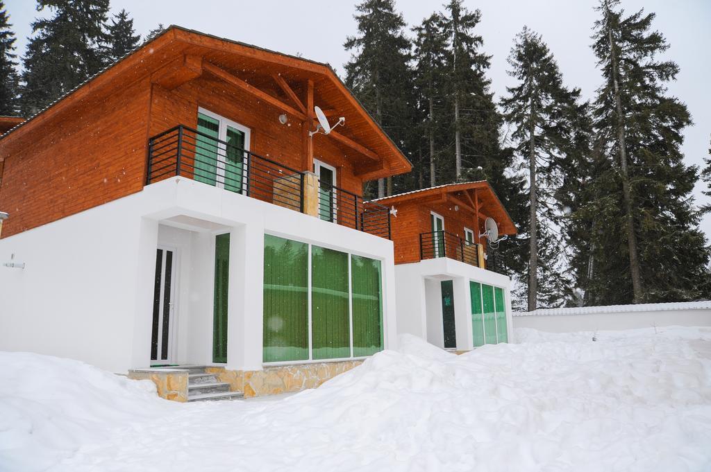 Chalet Kokhta باكورياني المظهر الخارجي الصورة