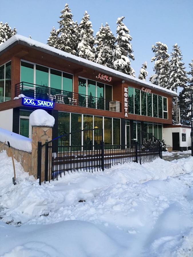 Chalet Kokhta باكورياني المظهر الخارجي الصورة